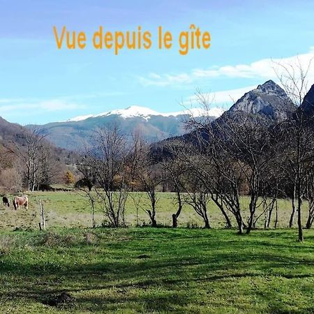 Вилла Grange En Pierres. Grand Jardin Et Belle Vue Saurat Экстерьер фото