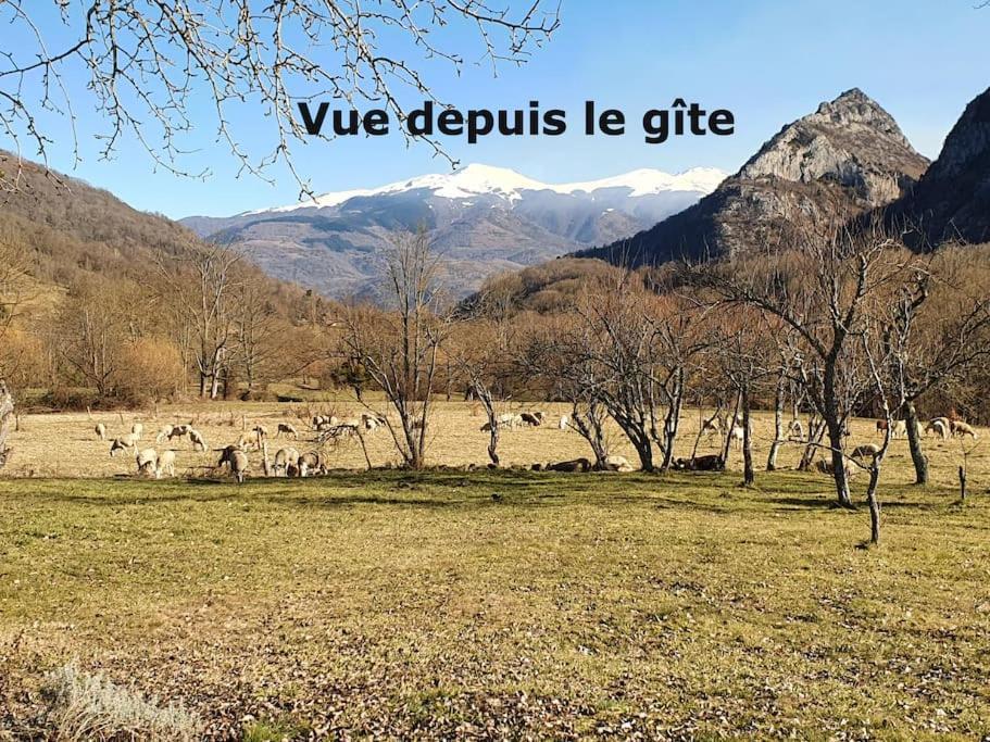 Вилла Grange En Pierres. Grand Jardin Et Belle Vue Saurat Экстерьер фото